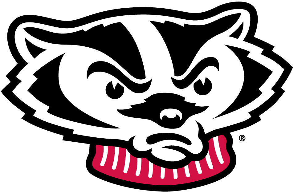 Wisconsin Badgers 2002-Pres Mascot Logo t shirts DIY iron ons